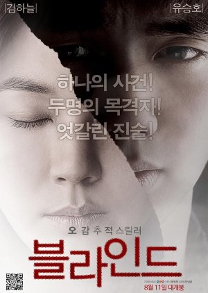 Blind (2011) poster